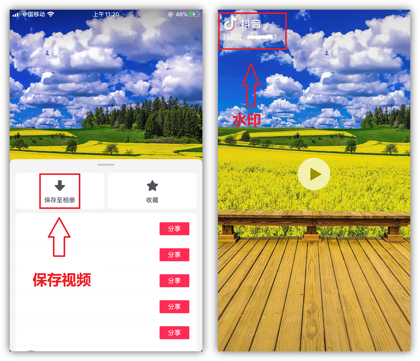 **本地去水印.png