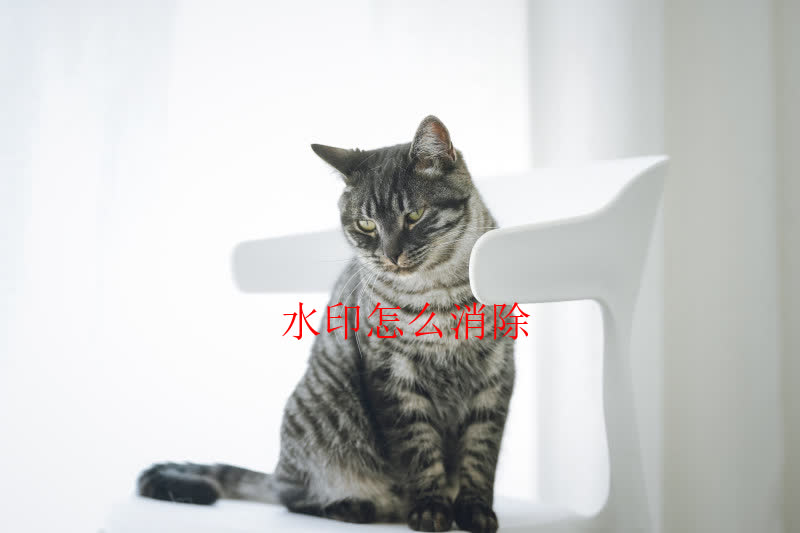 水印怎么消除？万能去水印软件分享推荐